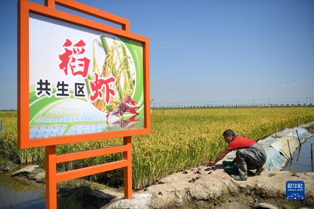 大奖彩票官方网站